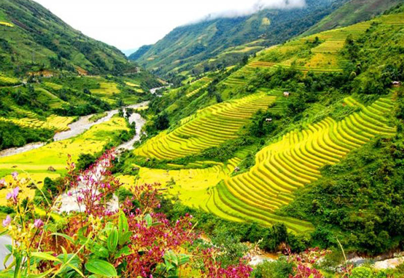 Các điểm tham quan chính ở Sapa cho tour du lịch ngắn ngày