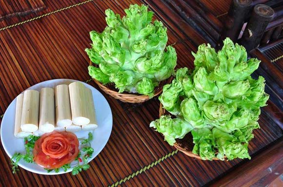 Lên Sa Pa ăn mầm đá